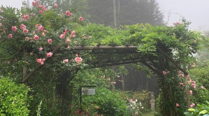 Kuhestan Farm Cottages