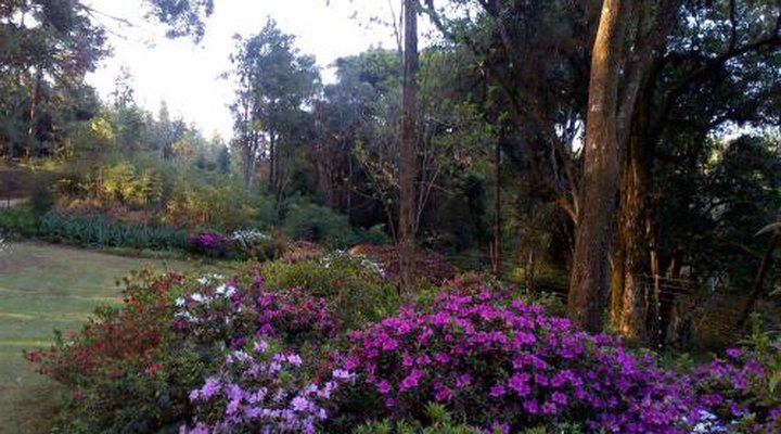 Kuhestan Farm Cottages