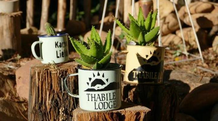 Thabile Lodge