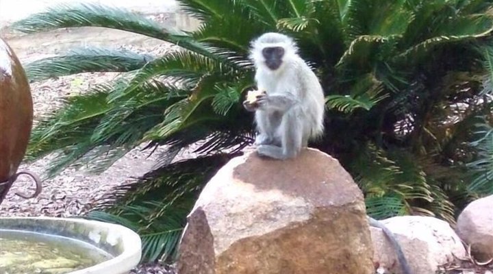 Marloth Kruger Lodges