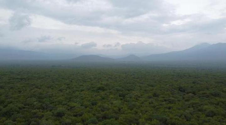 Boschfontein Guest Farm