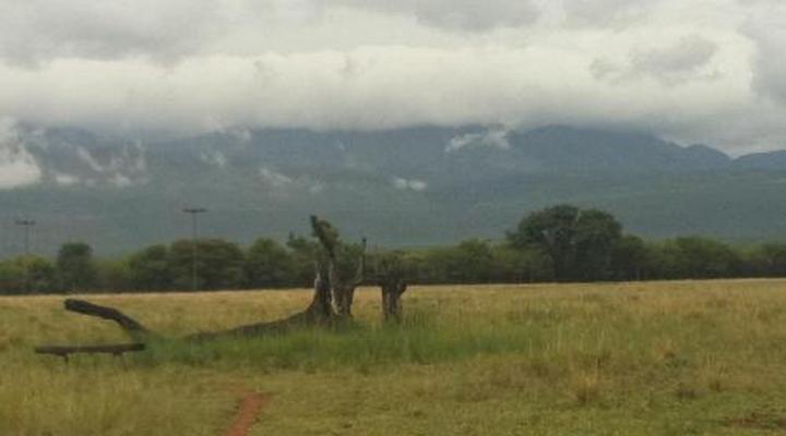 Boschfontein Guest Farm