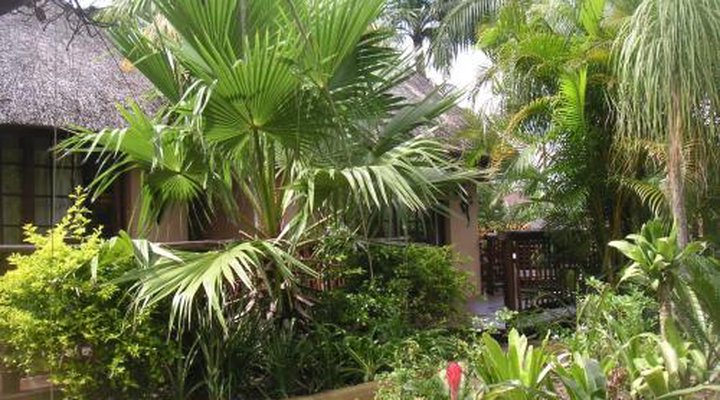 Afrikhaya Guest House