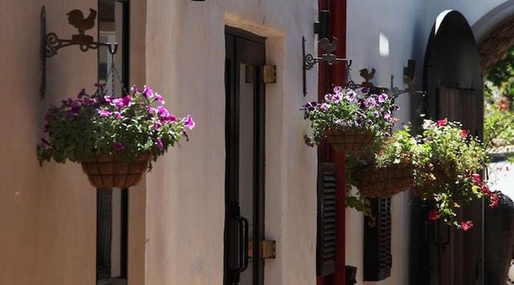 Los Olivos At The Yard