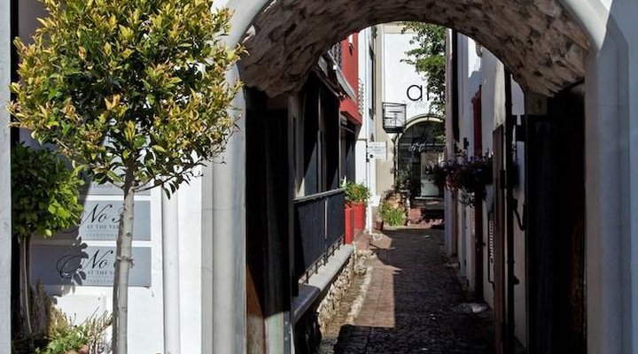 Los Olivos At The Yard