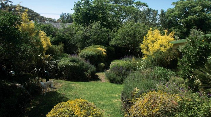 Villa Pascal Guest House