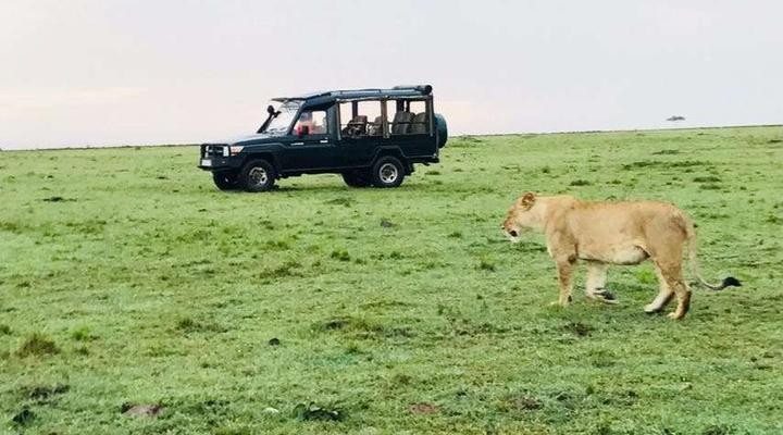 Royal Mara Safari Lodge