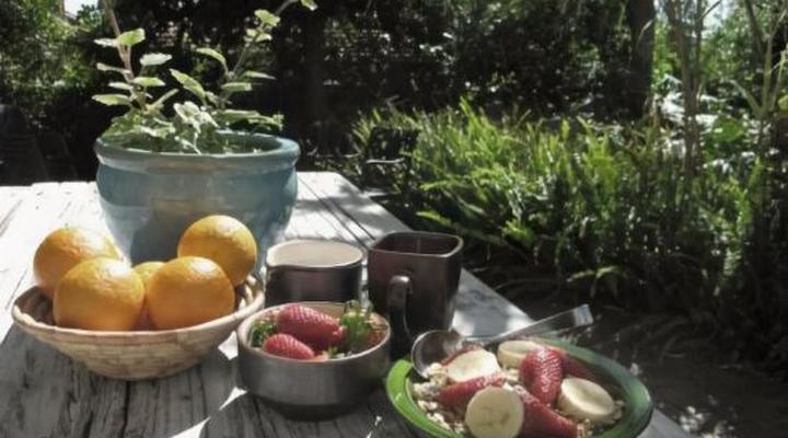 Mountain Magic Garden Suites