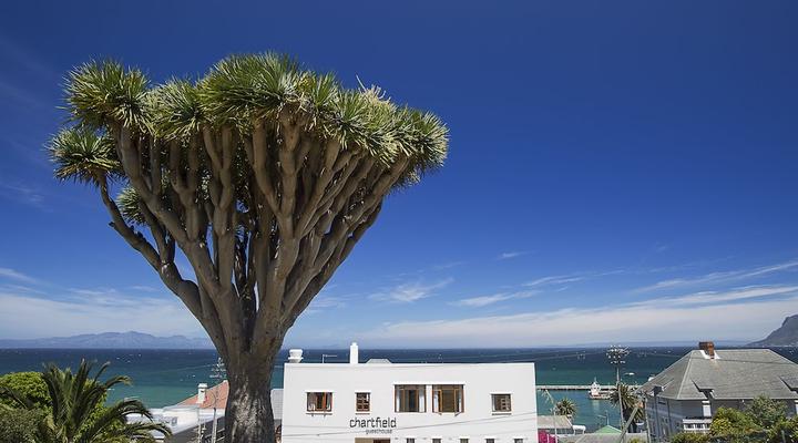 Chartfield Guest House