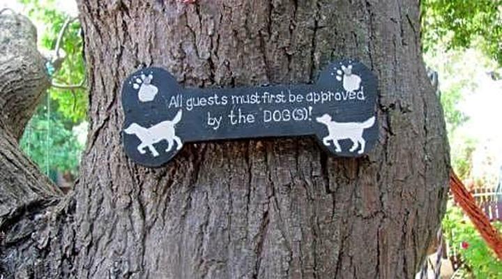 40 Winks Accommodation