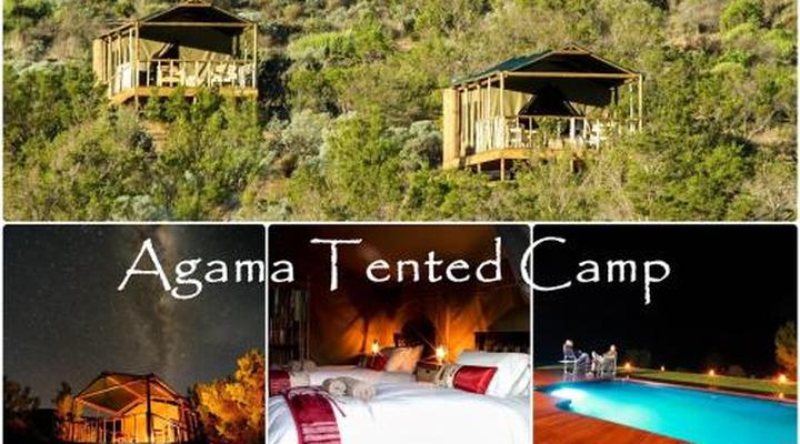 Agama Tented Camp