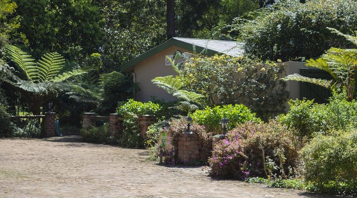 Andelomi Forest Lodge