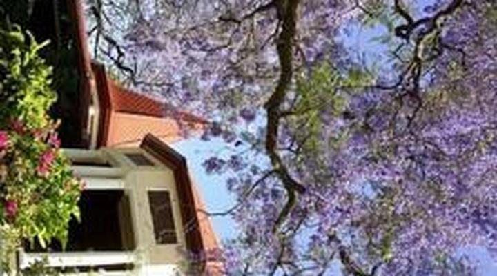 Melvin Residence Guest House