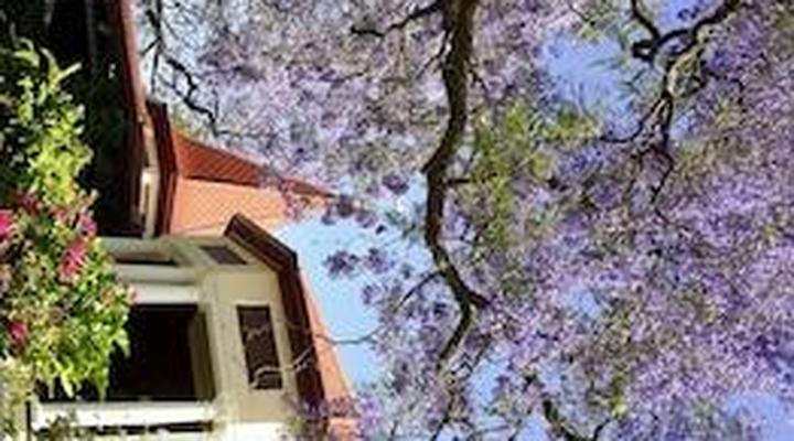 Melvin Residence Guest House