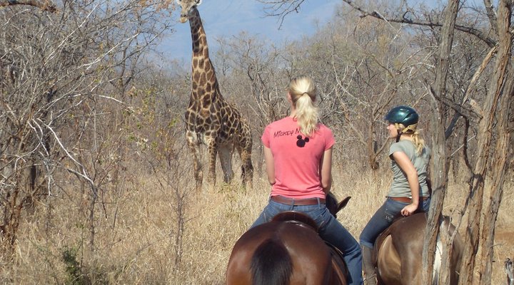 Mafigeni Safari Lodge