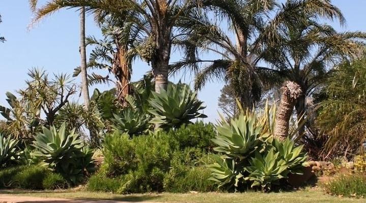 Mansfield Private Reserve