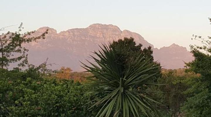 Edelweiss Bed & Breakfast