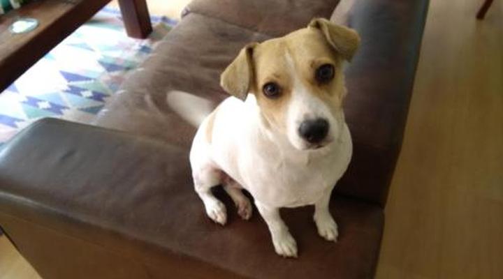 Edelweiss Bed & Breakfast