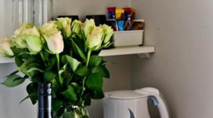 Virginia Forest Lodge