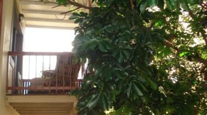 Virginia Forest Lodge