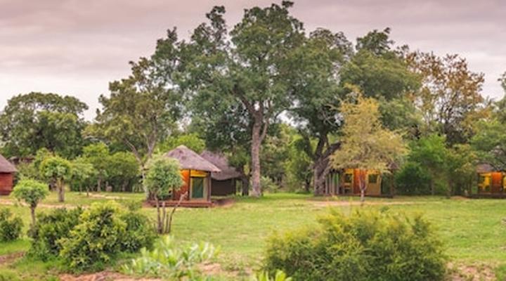 Shindzela Tented Safari Camp