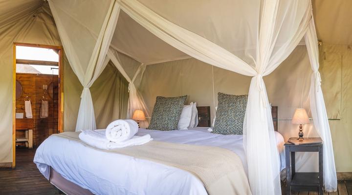 Shindzela Tented Safari Camp