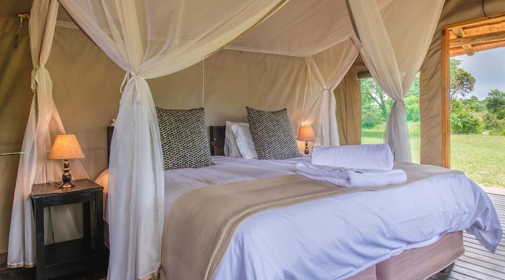 Shindzela Tented Safari Camp