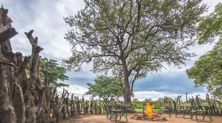 Shindzela Tented Safari Camp