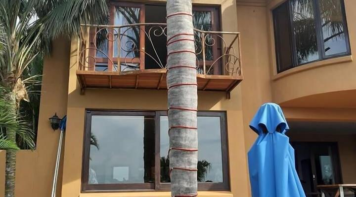 Grande Vista Guest House