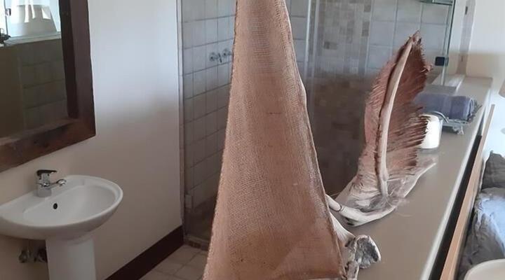 Grande Vista Guest House