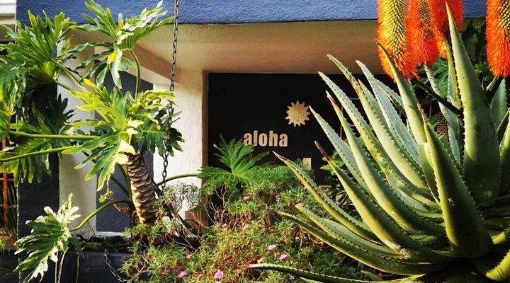 Aloha Lodge