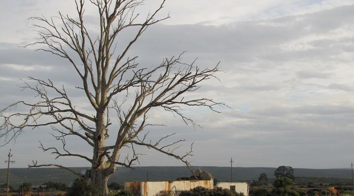 A Farm Story Country House