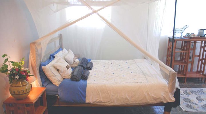 Bushbuck River House