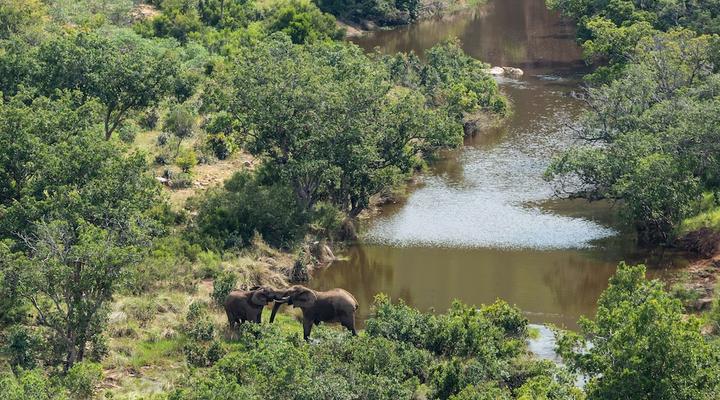 Clifftop Exclusive Safari Hideaway