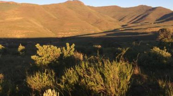 De Ark Mountain Lodge