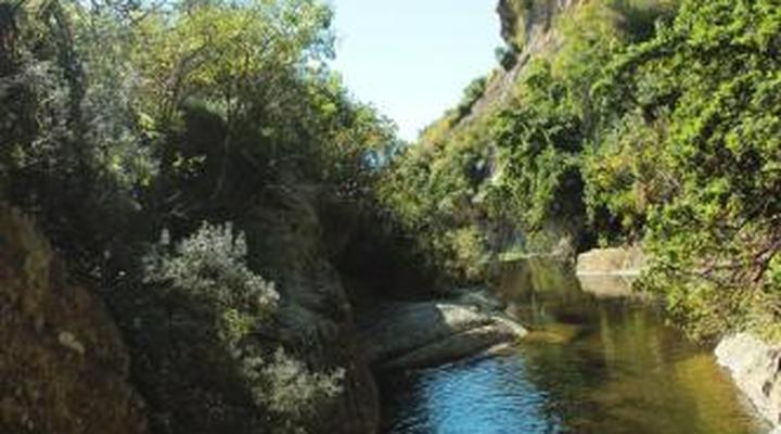 De Ark Mountain Lodge