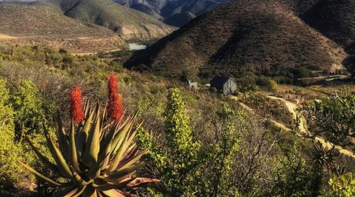 The Old School House