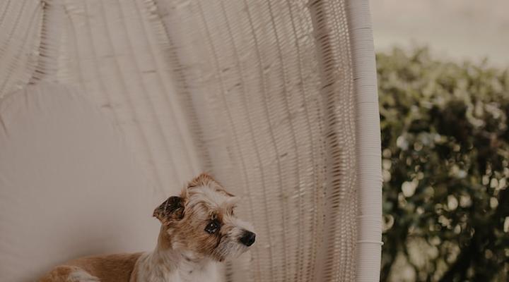 Qambathi Mountain Lodge