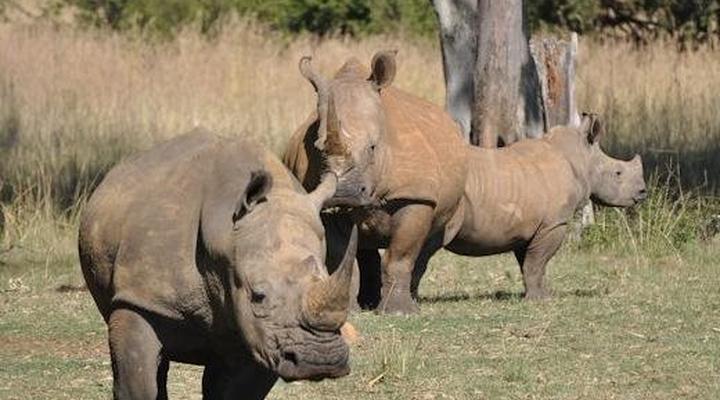 Badgerleur Bush Lodge