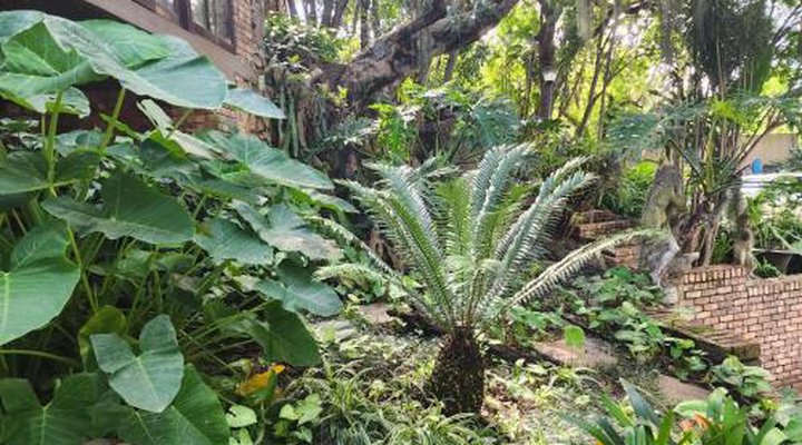 Mariu Guest House
