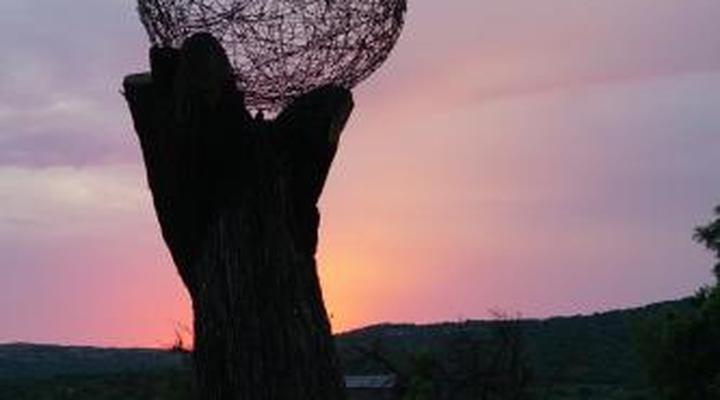 Thaba Pitsi Safari Lodge