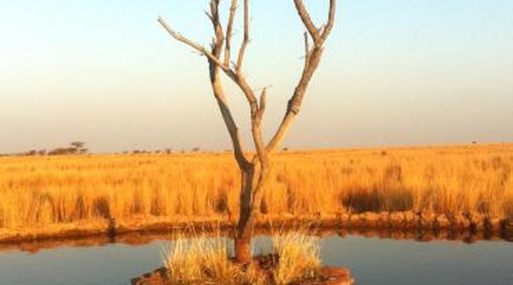 Thaba Pitsi Safari Lodge