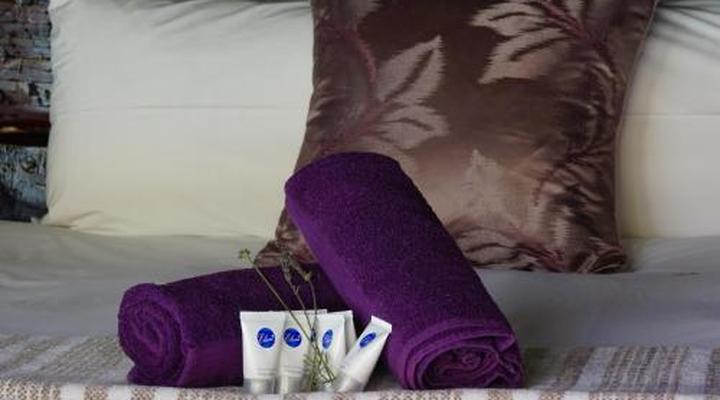 Thaba Pitsi Safari Lodge