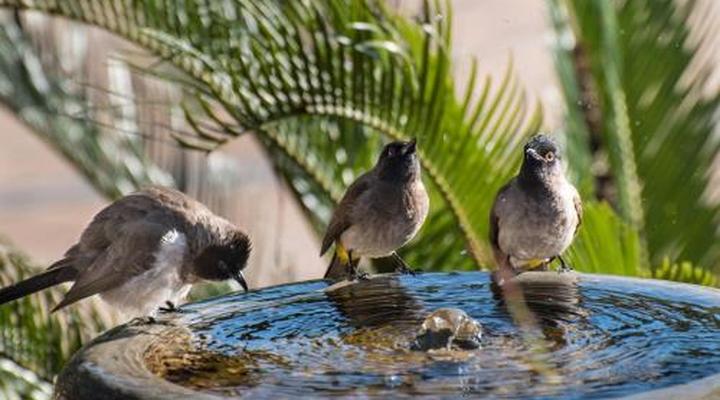 Heidelberg Kloof Lodge