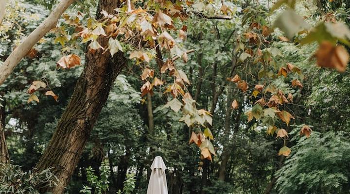 Kleinkaap Boutique Hotel