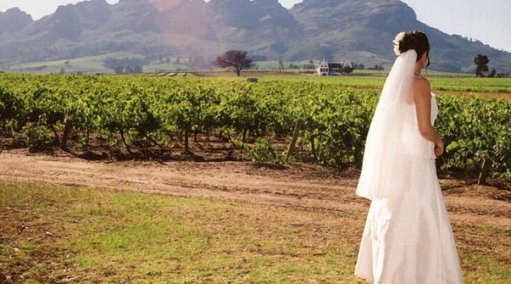 Rosenview Guest House