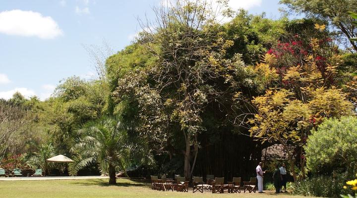 Moivaro Coffee Plantation Lodge