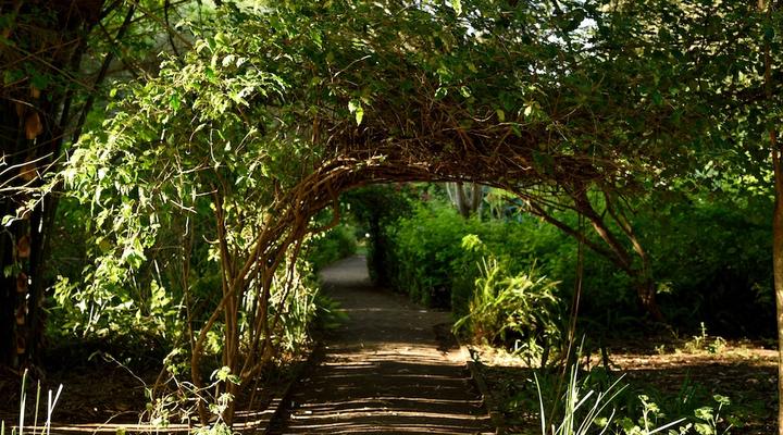 Moivaro Coffee Plantation Lodge