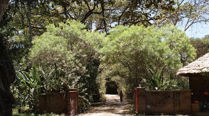 Moivaro Coffee Plantation Lodge