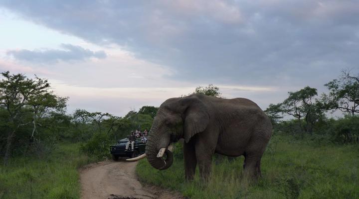 Simbambili Game Lodge